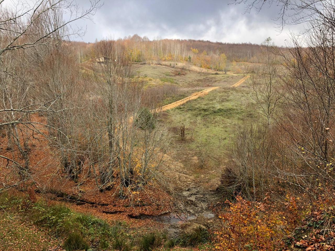Ödül Kartı