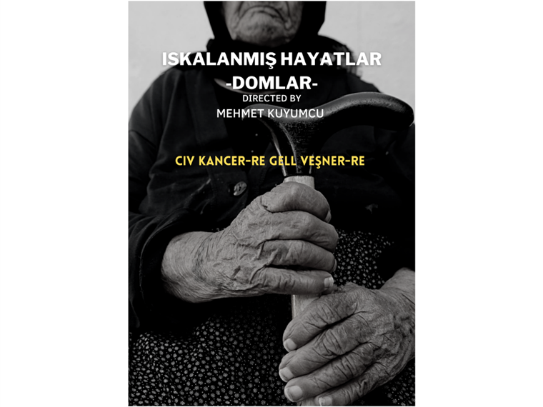 Iskalanmış Hayatlar -DOMLAR- isimli proje profil fotoğrafı