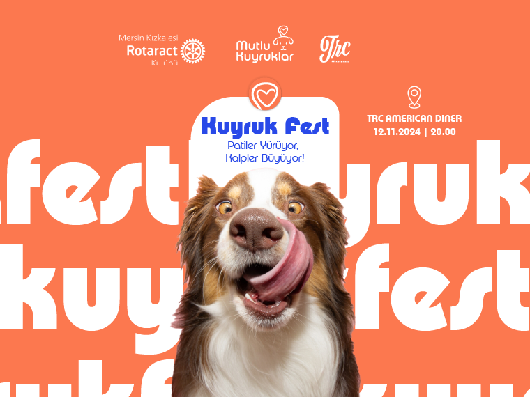 Kuyruk Fest isimli proje profil fotoğrafı