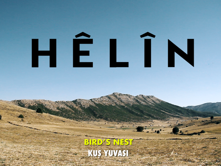 HELİN - BIRD'S NEST isimli proje profil fotoğrafı
