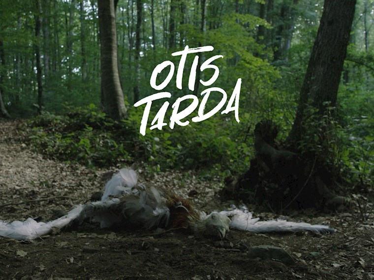 OTIS TARDA isimli proje profil fotoğrafı