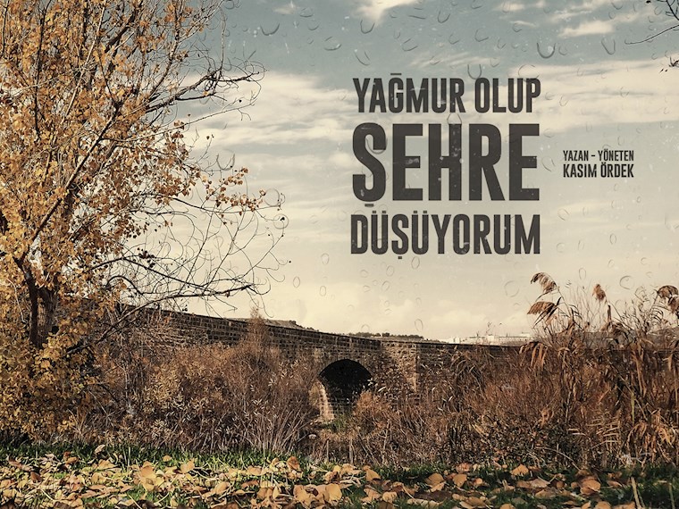Yağmur Olup Şehre Düşüyorum isimli proje profil fotoğrafı