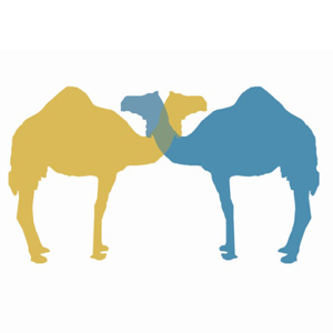 Yok Devenin Pabucu - Holy Camel?!: A true love story isimli proje profil fotoğrafı