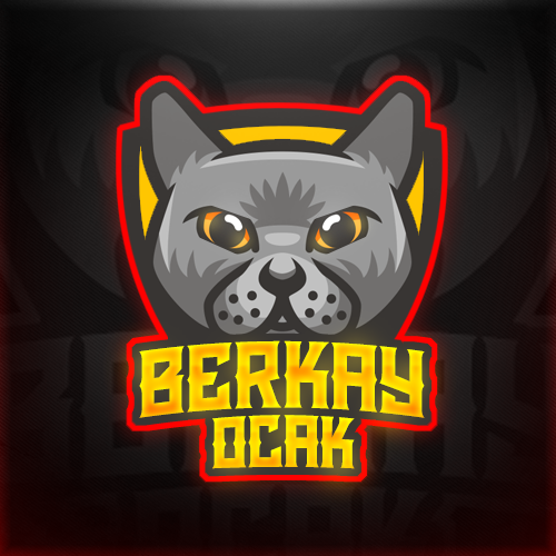 Berkay Ocak profil fotoğrafı