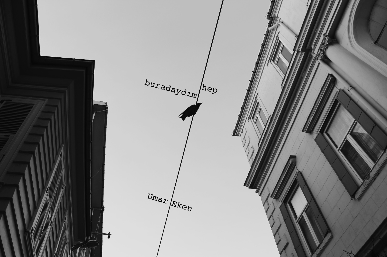 Hep Buradaydım isimli proje profil fotoğrafı