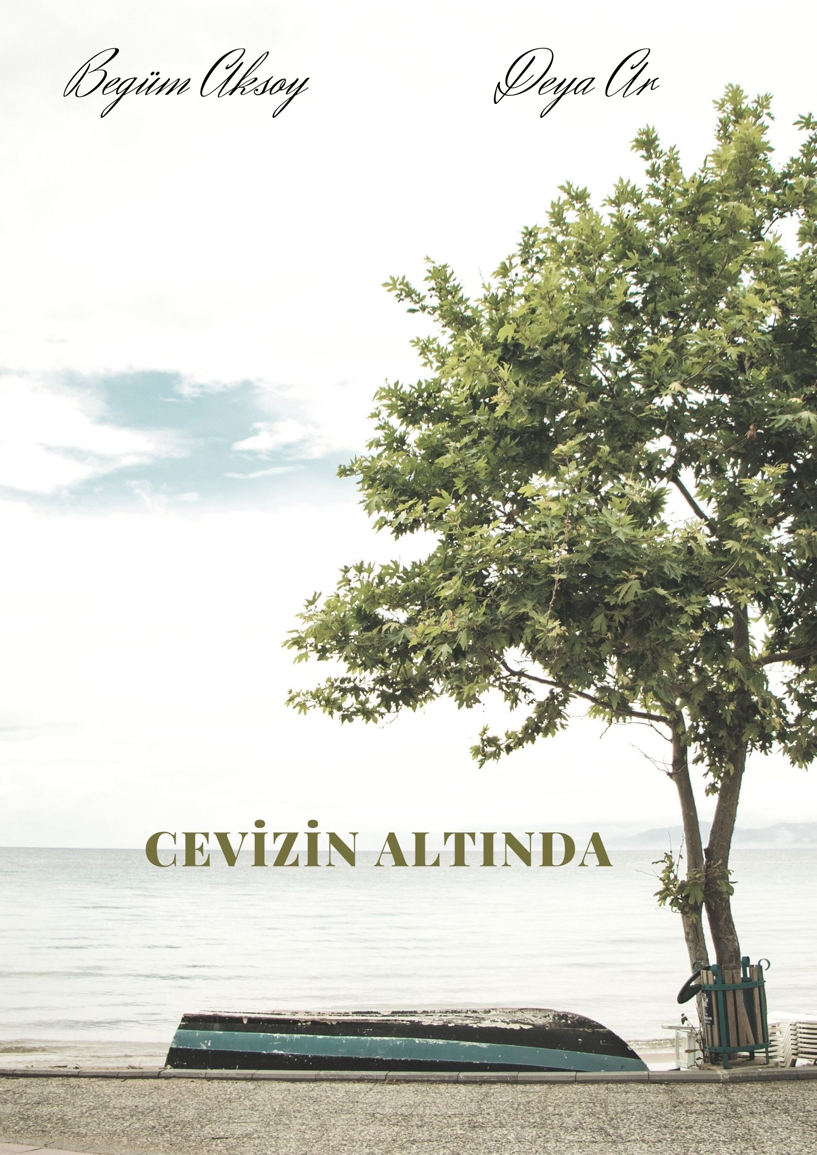 Cevizin Altında isimli proje profil fotoğrafı