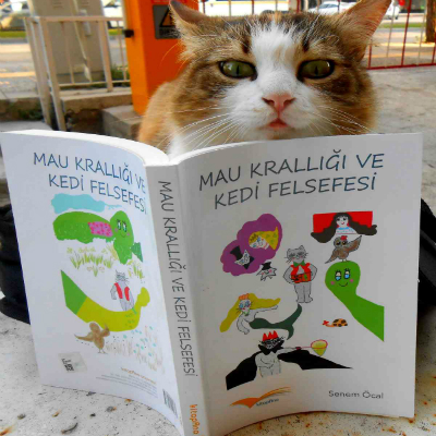 Okuyan çocuklar için Mau Krallığı ve Kedi Felsefesi çocuk kitabını destekle isimli proje profil fotoğrafı