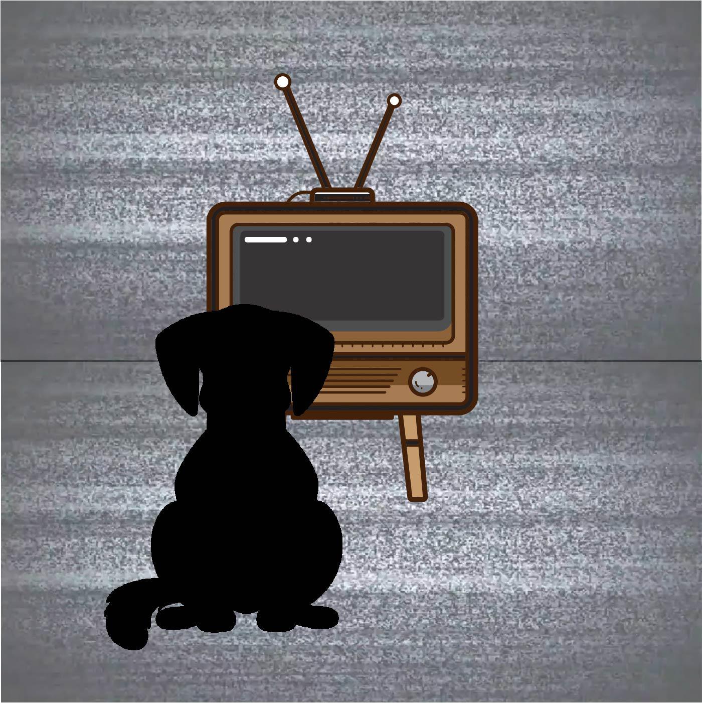 Reva - Kısa Film isimli proje profil fotoğrafı