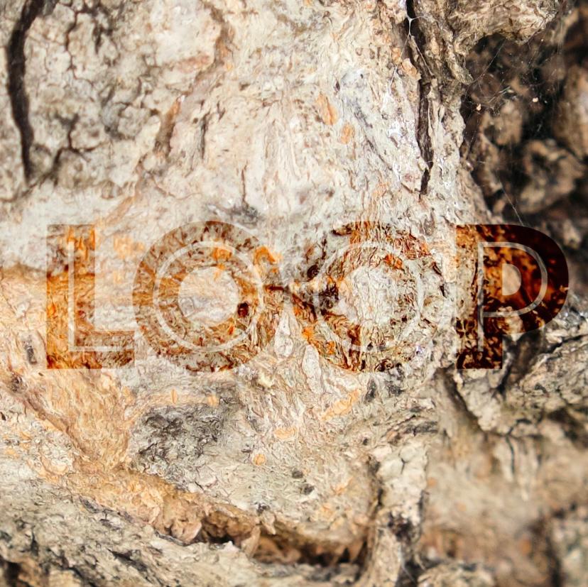 LOOP(Kısa Film) isimli proje profil fotoğrafı