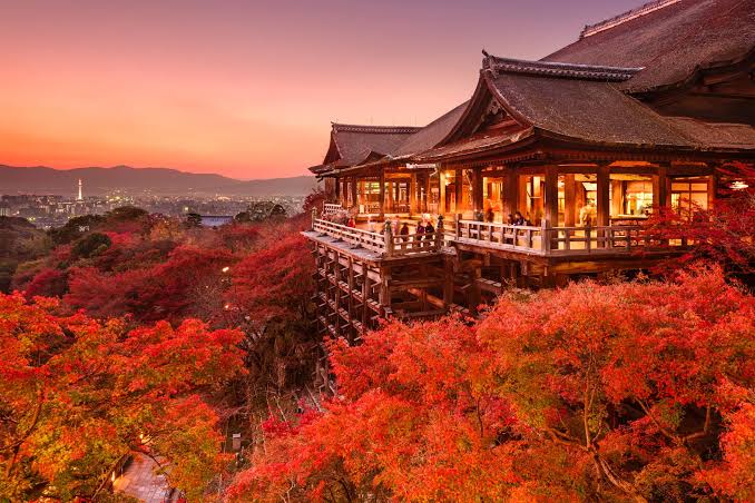 Nil'i Japonya'ya Ulaştıralım! isimli proje profil fotoğrafı